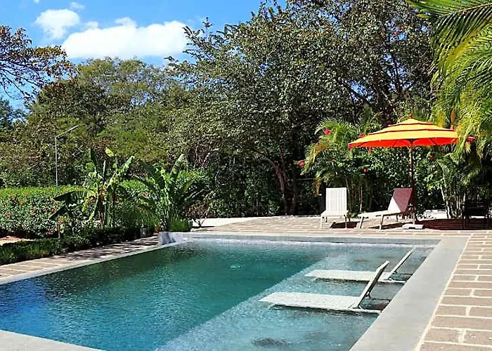 Tee-k 1 GUANACASTE
